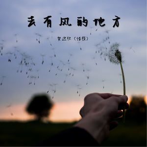 去有风的地方