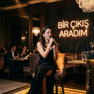 BİR ÇIKIŞ ARADIM