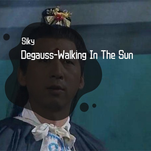 Degauss-Walking In The Sun(SIKYREMIX)