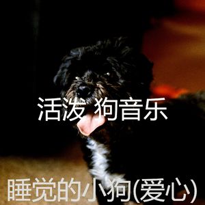 狗-背景音乐