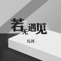 若无遇见 (DJ何鹏版)