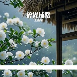 碎光铺路