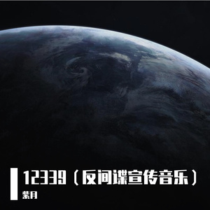 12339(反间谍手势舞宣传音乐)