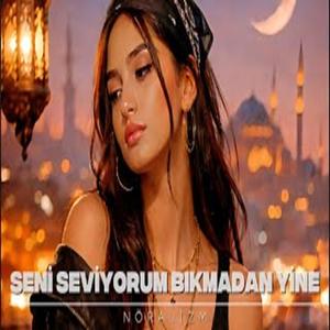 Seni Seviyorum Bıkmadan Yine