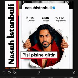 Pisi pisine gittin