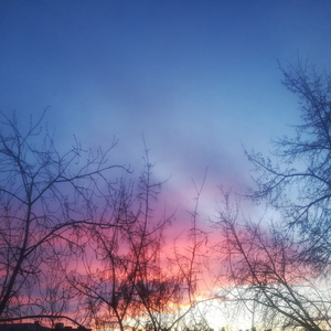 Ты мой микрокосмос