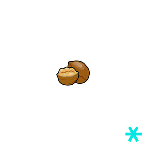 숫자