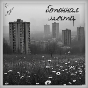 Я всё ещё здесь