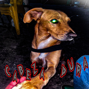 CABEZA DURA (Versión lo-fi)