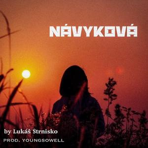Návyková