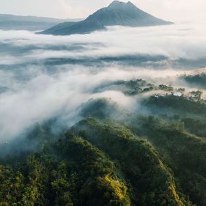 暗夜孤对长明灯