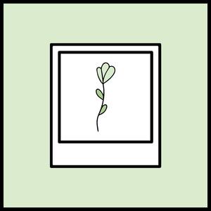 Stories En Mute (feat. Palma MSC)