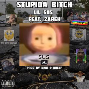 Stupida Bitch (feat. NKBI, Zarek & Dreep)
