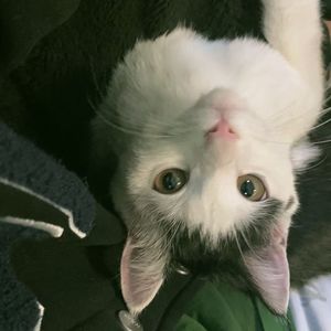 遗憾（PROD BY UNIVERSE 444）