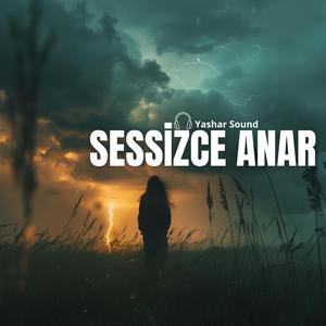 Sessizce Anar