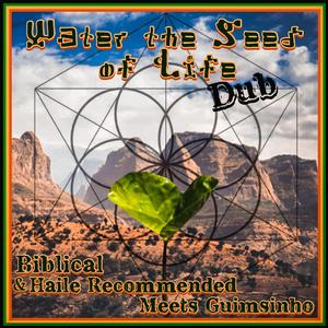 Water the Seed of Life (Dub) (feat. Guimsinho Musica)