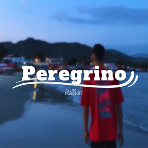 Peregrino
