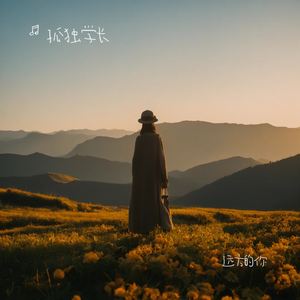 远方的你