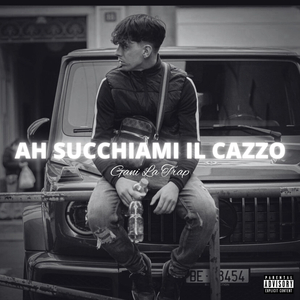 AH SUCCHIAMI IL CAZZO