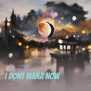 I dont wana now