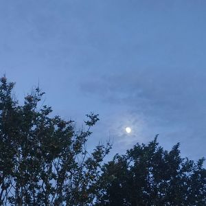 my-love-mine-all-mine-