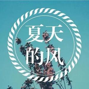夏天的风(卡农Remix)(Prod by RedTigerMusic)