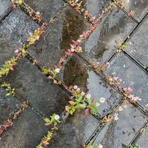 I Got 5 On It (slowed)