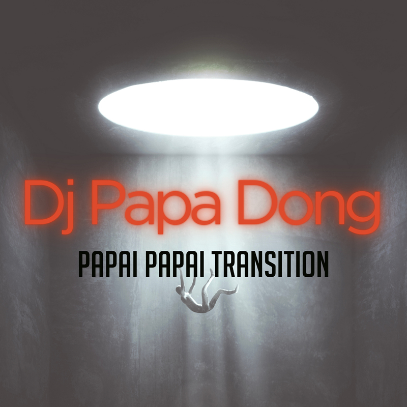 PAPAIPAPAITRANSITION封面