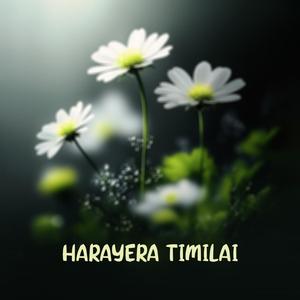 harayer timilai