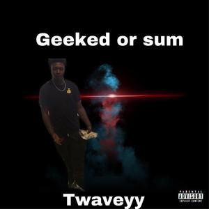 Geeked Or Sum
