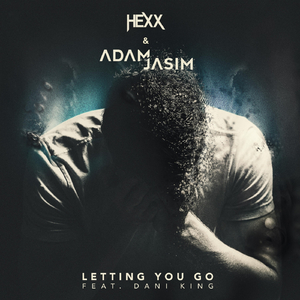 Letting You Go (feat. Dani King)