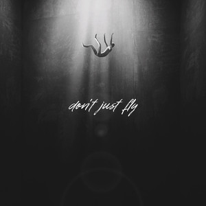 Don't Just Fly