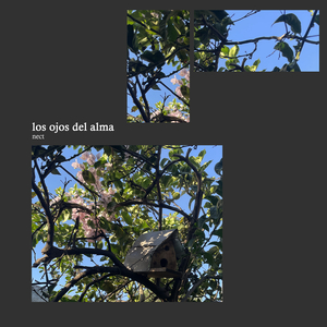 Los Ojos Del Alma