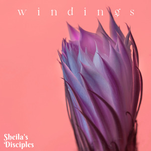 Windings