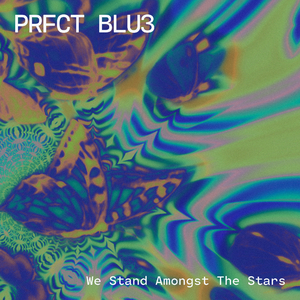 We Stand Amongst The Stars