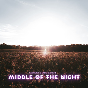 Middle of the night (Neoliizer & Duha Coment Guitar)