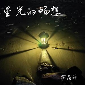 星光的畅想