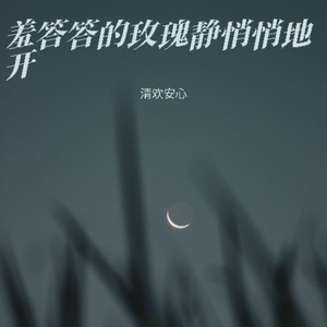 羞答答的玫瑰静悄悄地开