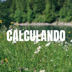 CALCULANDO