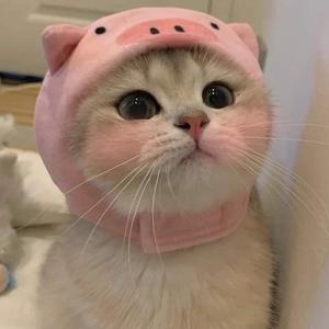 ตาจ้องตา (feat. CHXID!) (Sped up)