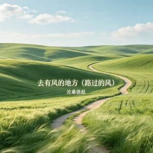 去有风的地方（路过的风）