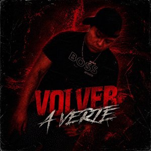 Volver a Verte