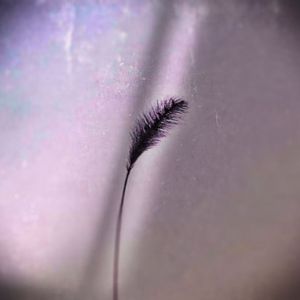 记忆（Prod NEONMUSIC）