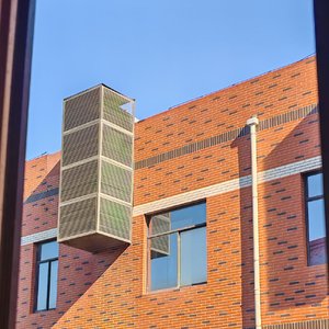 人如草木，向阳而生