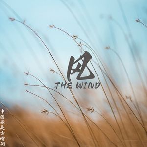 《风》- 李峤 绝美意境国学经典中小学生必背古诗词音乐 伴奏