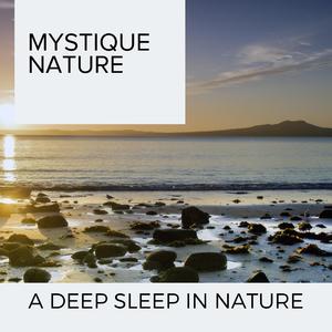 Delightful Rain Season