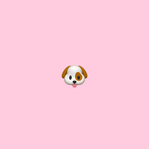 舔狗
