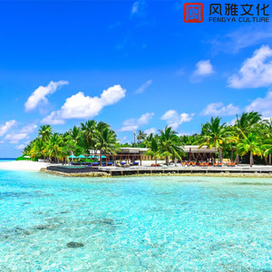 灯下的你 -钢琴