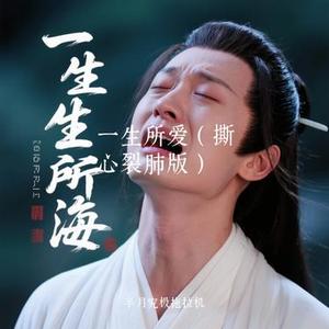 一生所爱 (撕心裂肺版) (Cover 天琪)