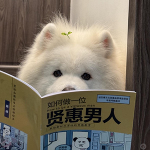 너에게로 번지는 계절 （向你蔓延的季节）